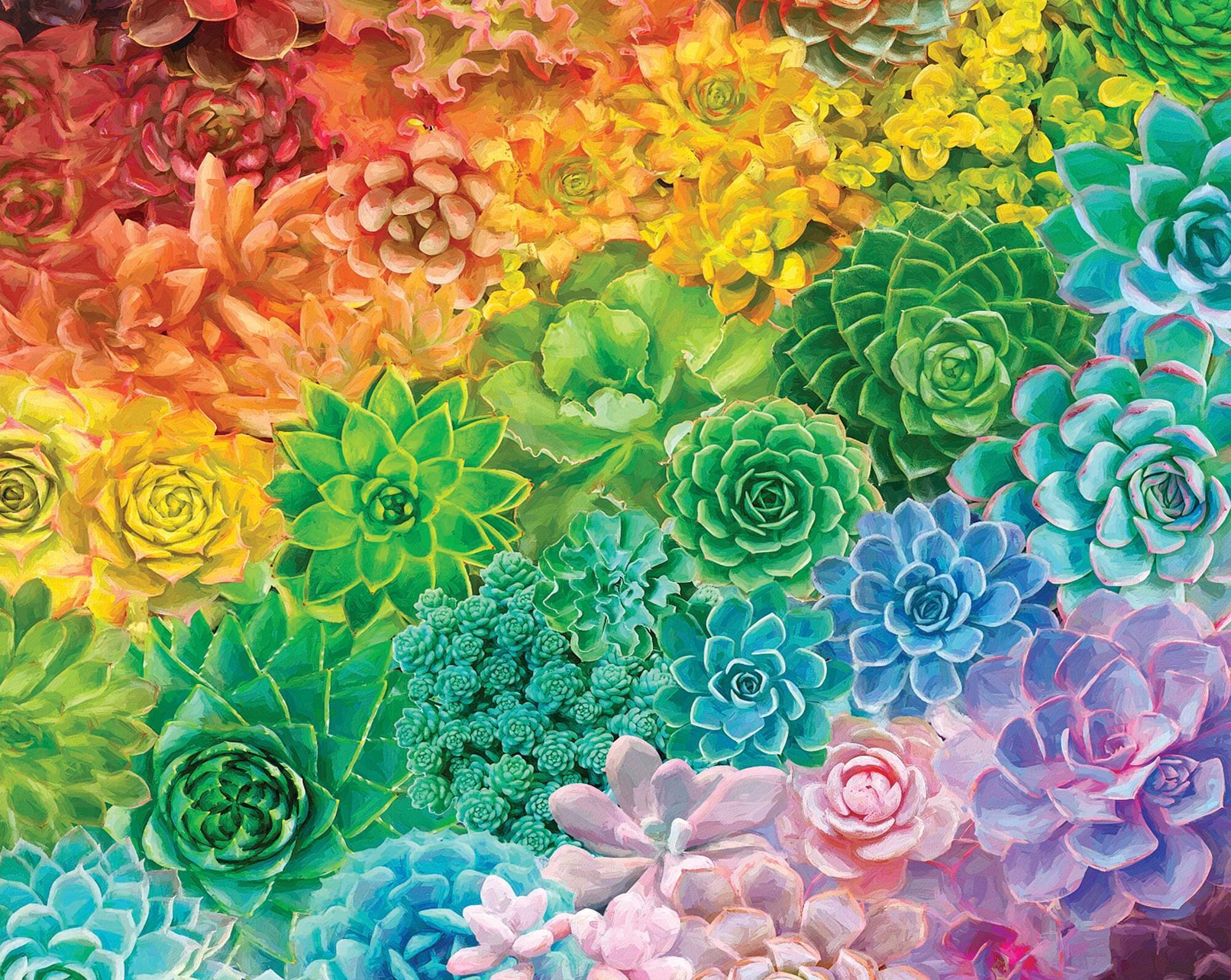 Succulent Rainbow Pz Piece Jigsaw Puzzle Gwenlla