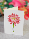 Dear Dahlia