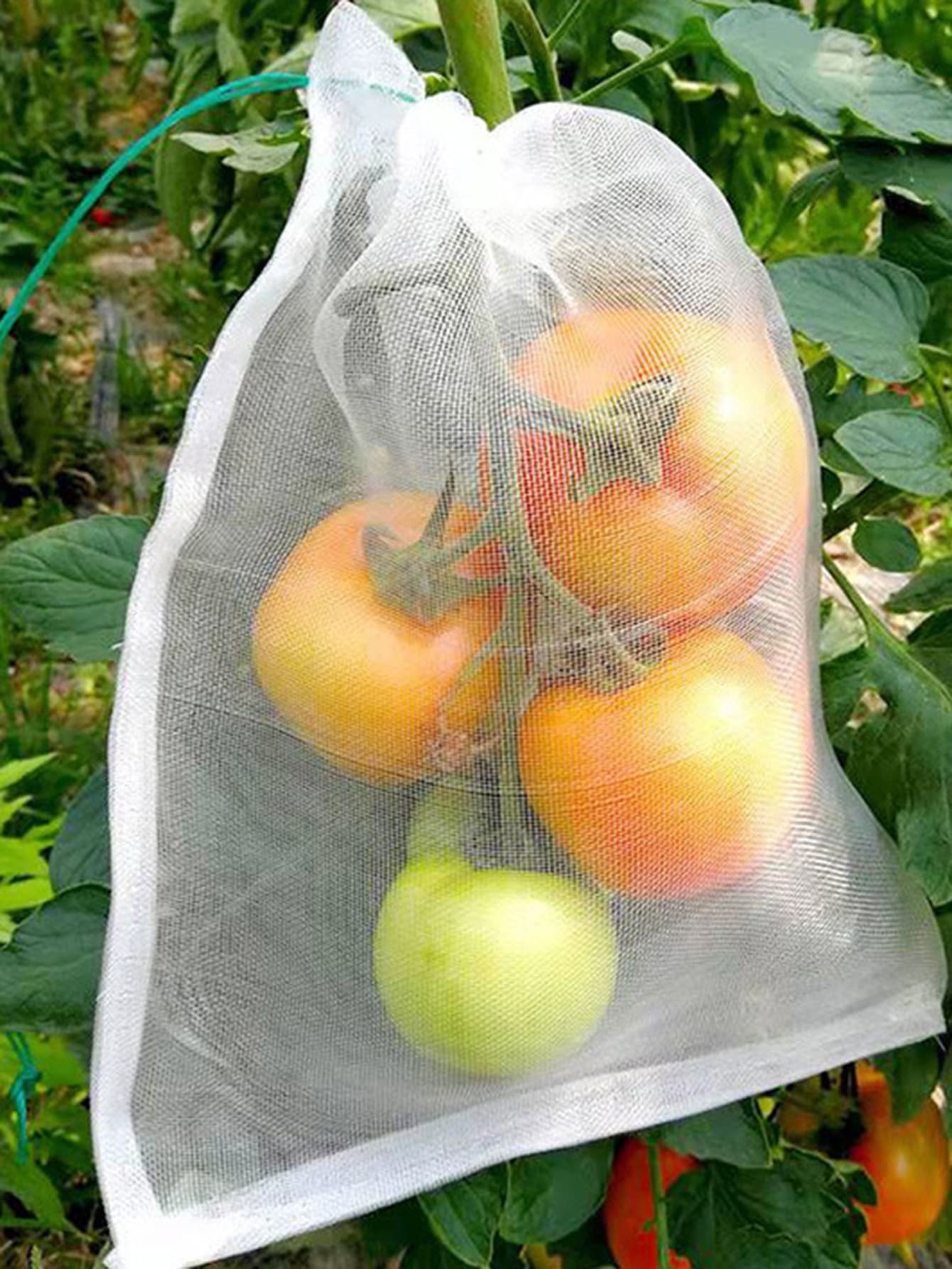 10pcs Solid Color Plant Protector Cover
