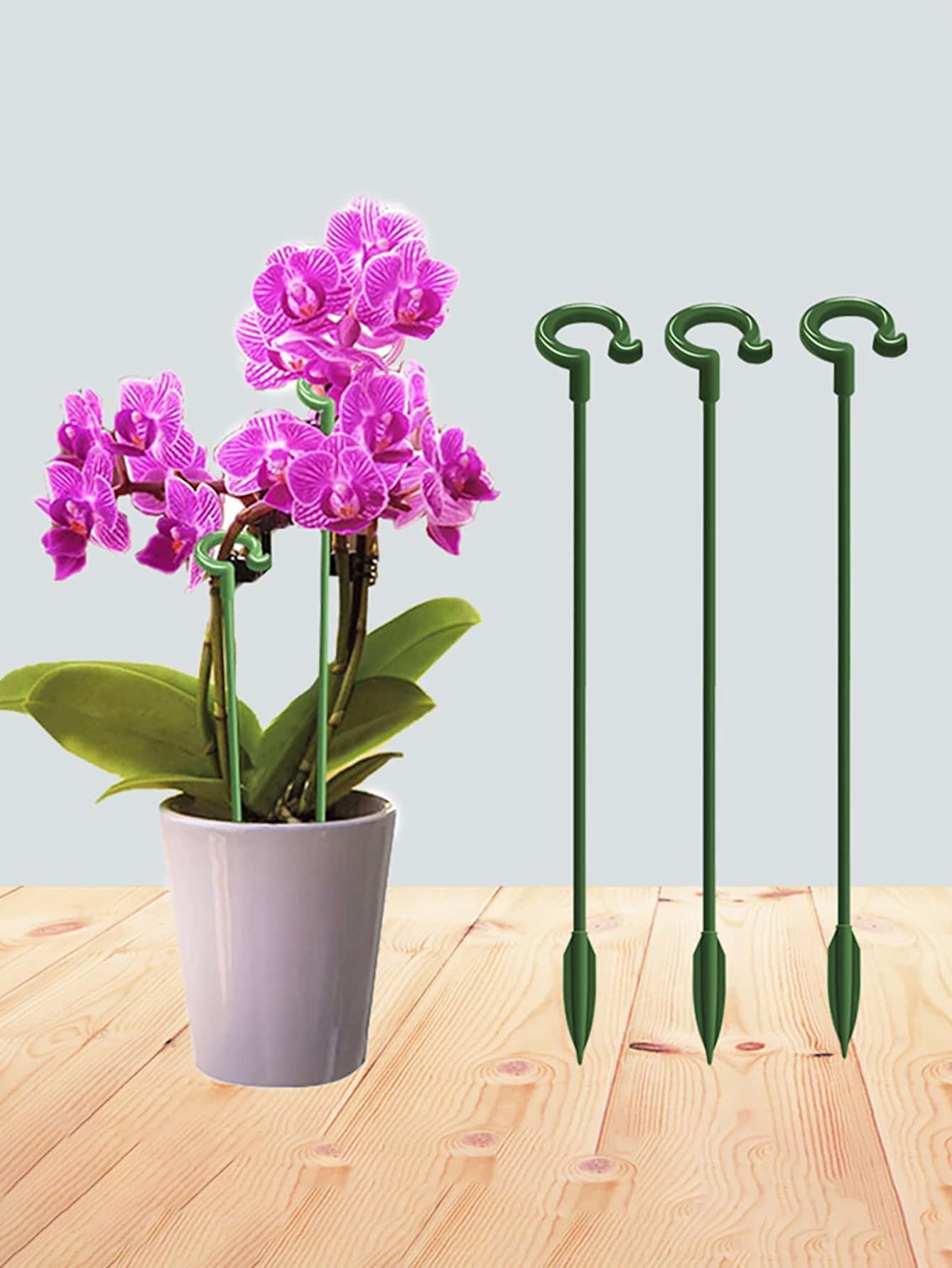 5pcs Plant Support Stake, Green Plastic Plant Fixer Support For Potted Plant