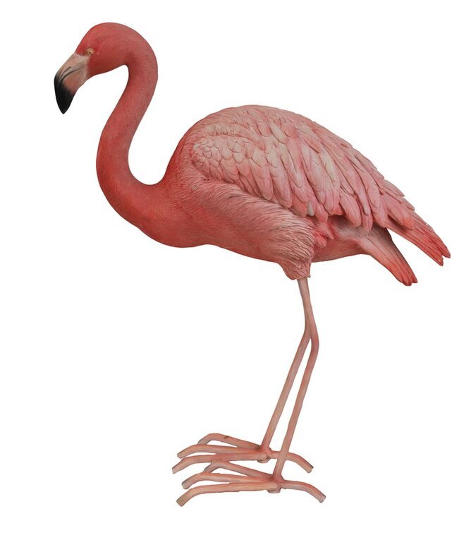 Flamingo Bird Statue
