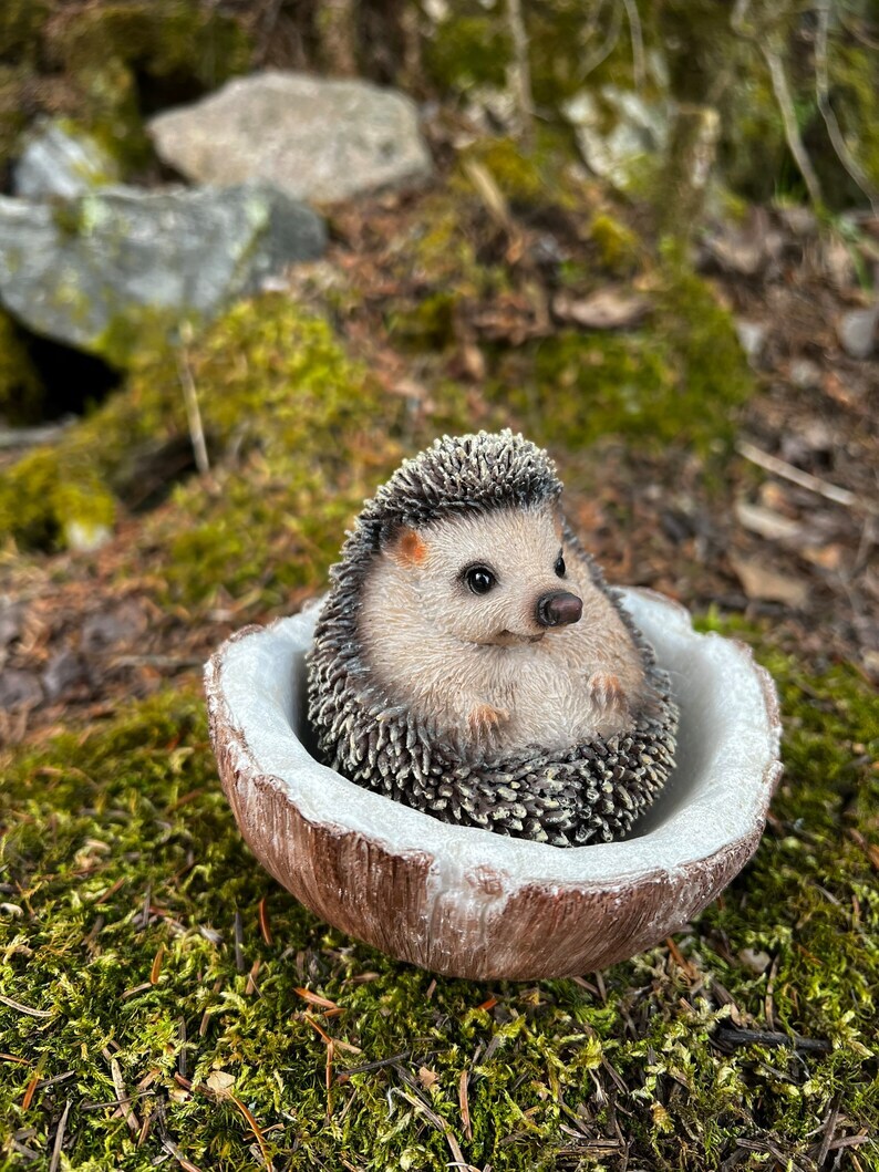Hedgehog Resting Inside Coconut Shell Figurine  Statue, 4.5 inches Hedgehog Ornament, Hedgehog Figurine / Realistic