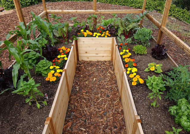 The ideal place to grow flowers and plants