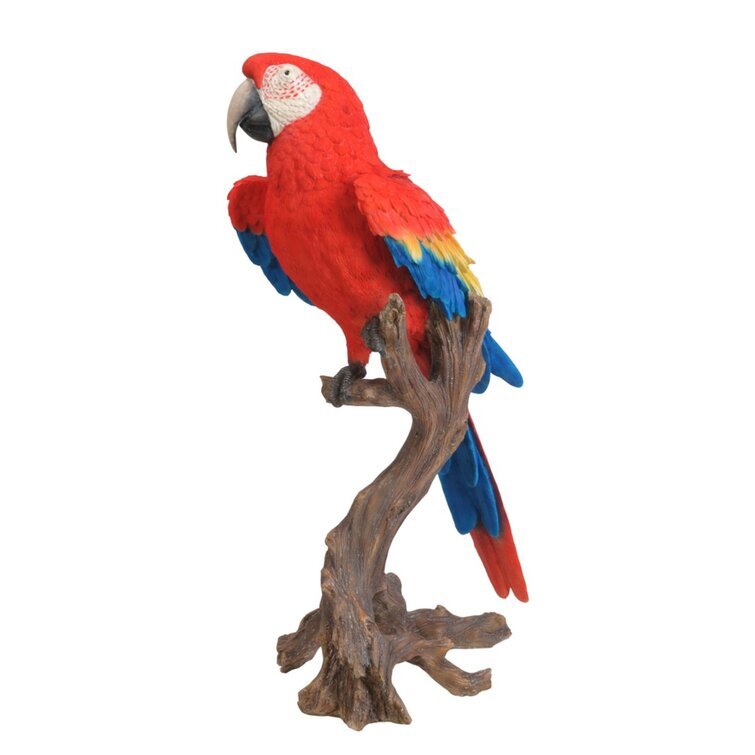 Macaw Statue