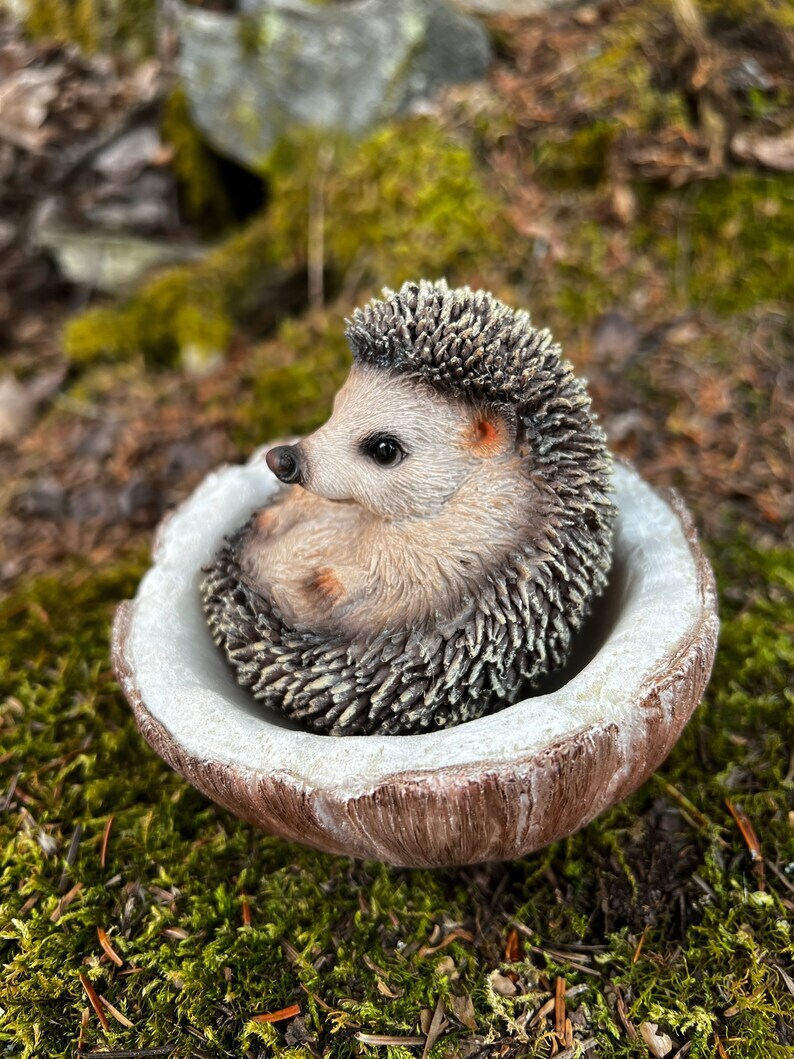 Hedgehog Resting Inside Coconut Shell Figurine  Statue, 4.5 inches Hedgehog Ornament, Hedgehog Figurine / Realistic