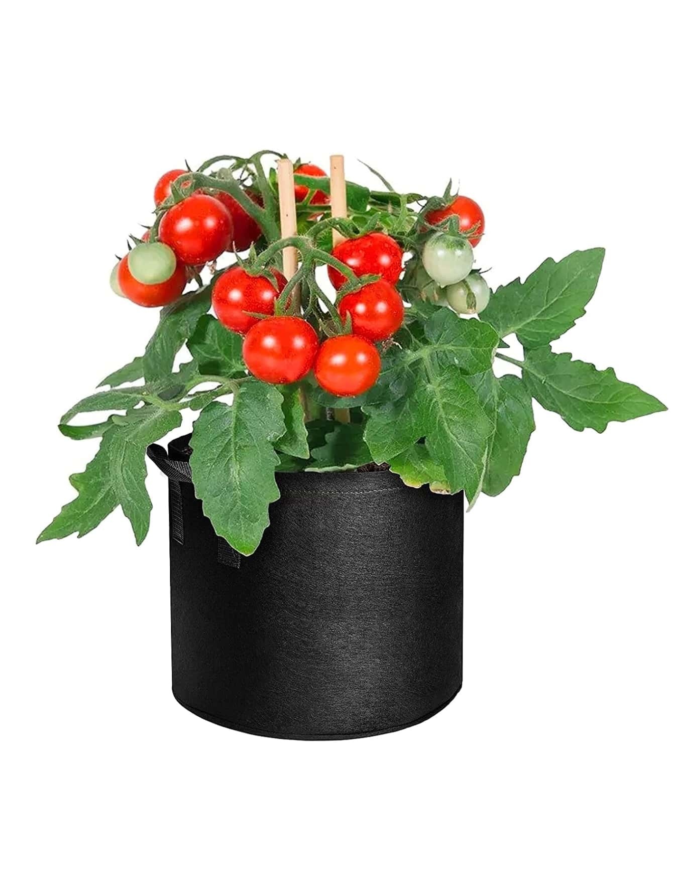 1pc Non-woven Fabric Grow Bag, Black Double Handle Plant Grow Bag For Garden
