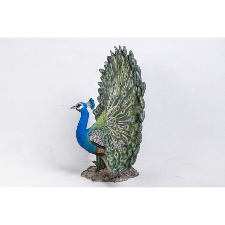 Peacock with Feathers Out Statue