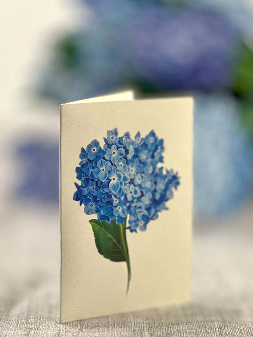 Nantucket Hydrangeas (NEW)