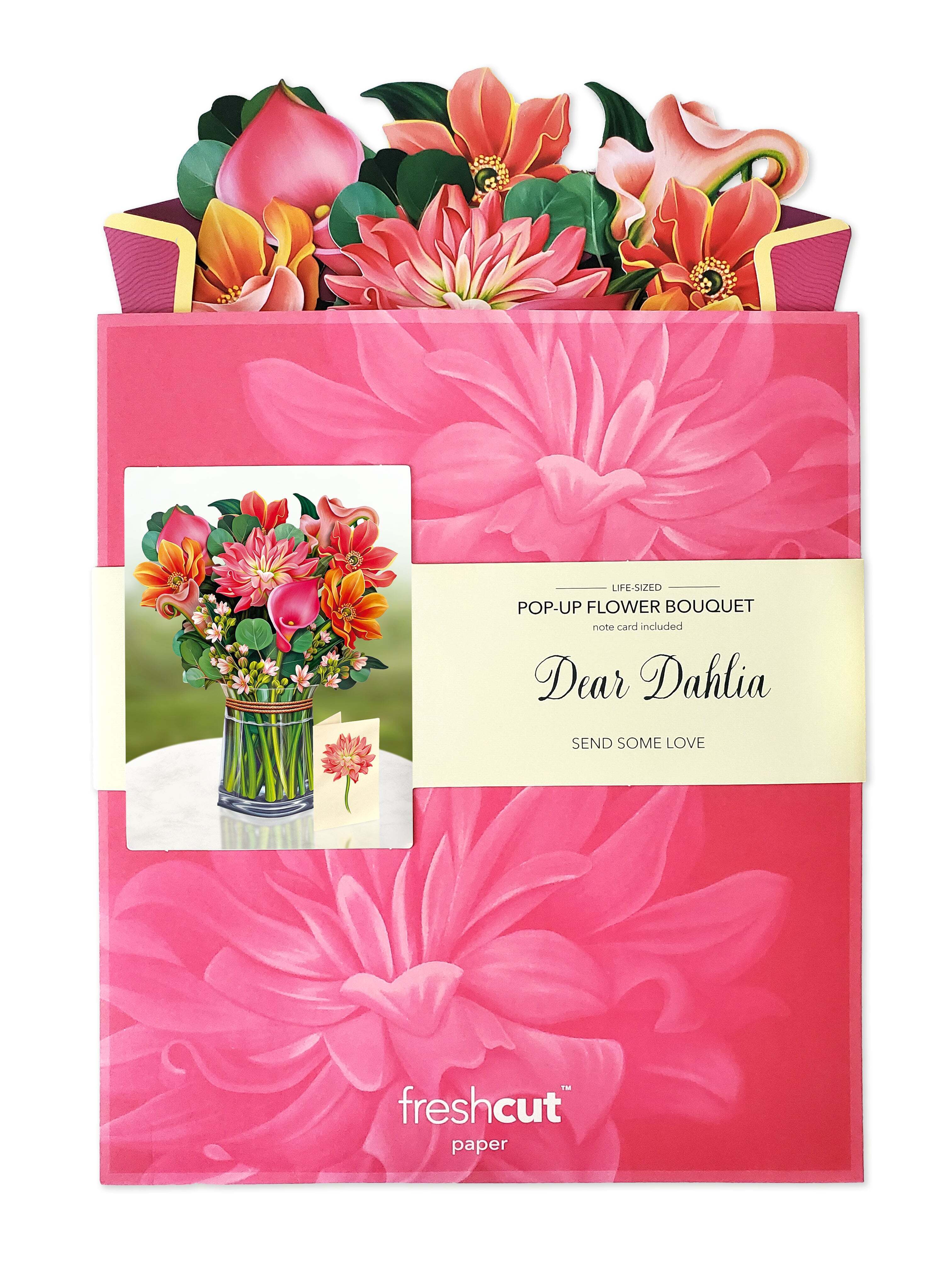 Dear Dahlia