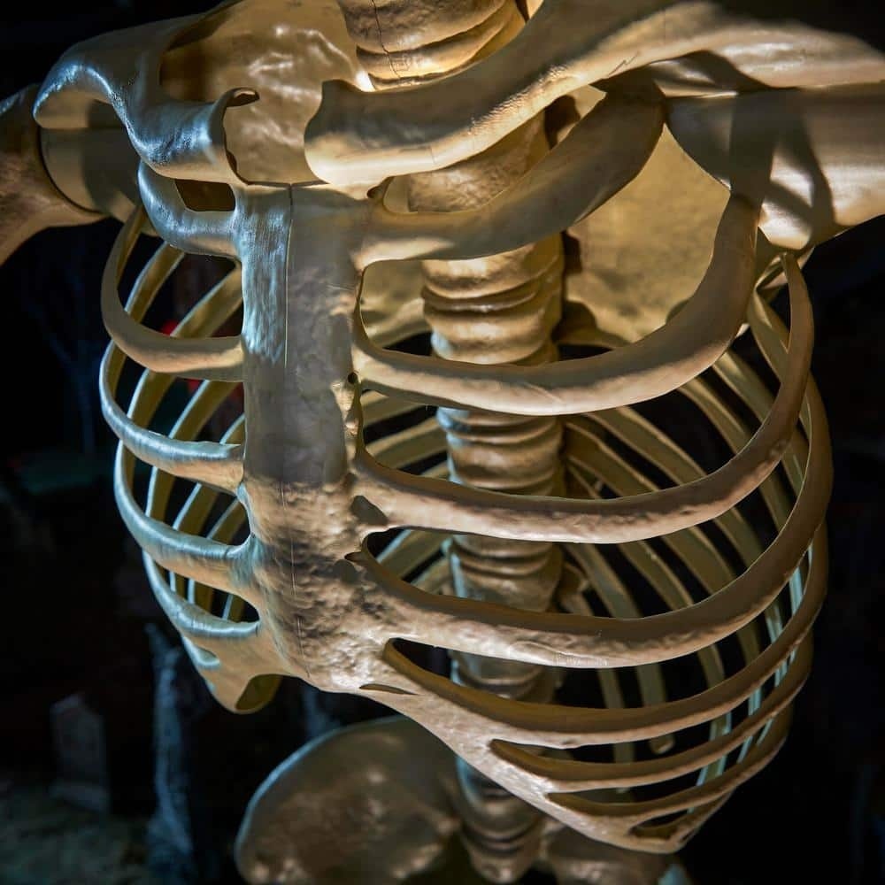 Giant-Sized Skeleton with LifeEyes LCD Eyes