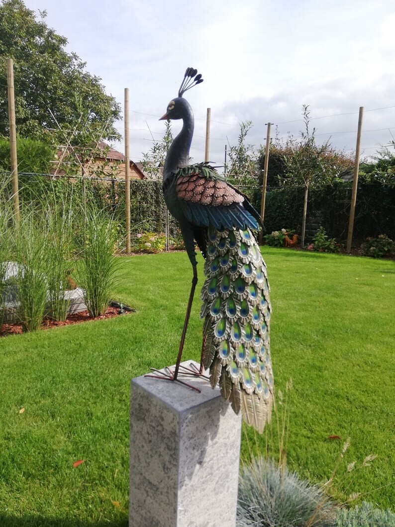 Xl iron peacock - Amazing detail and beautiful colours
