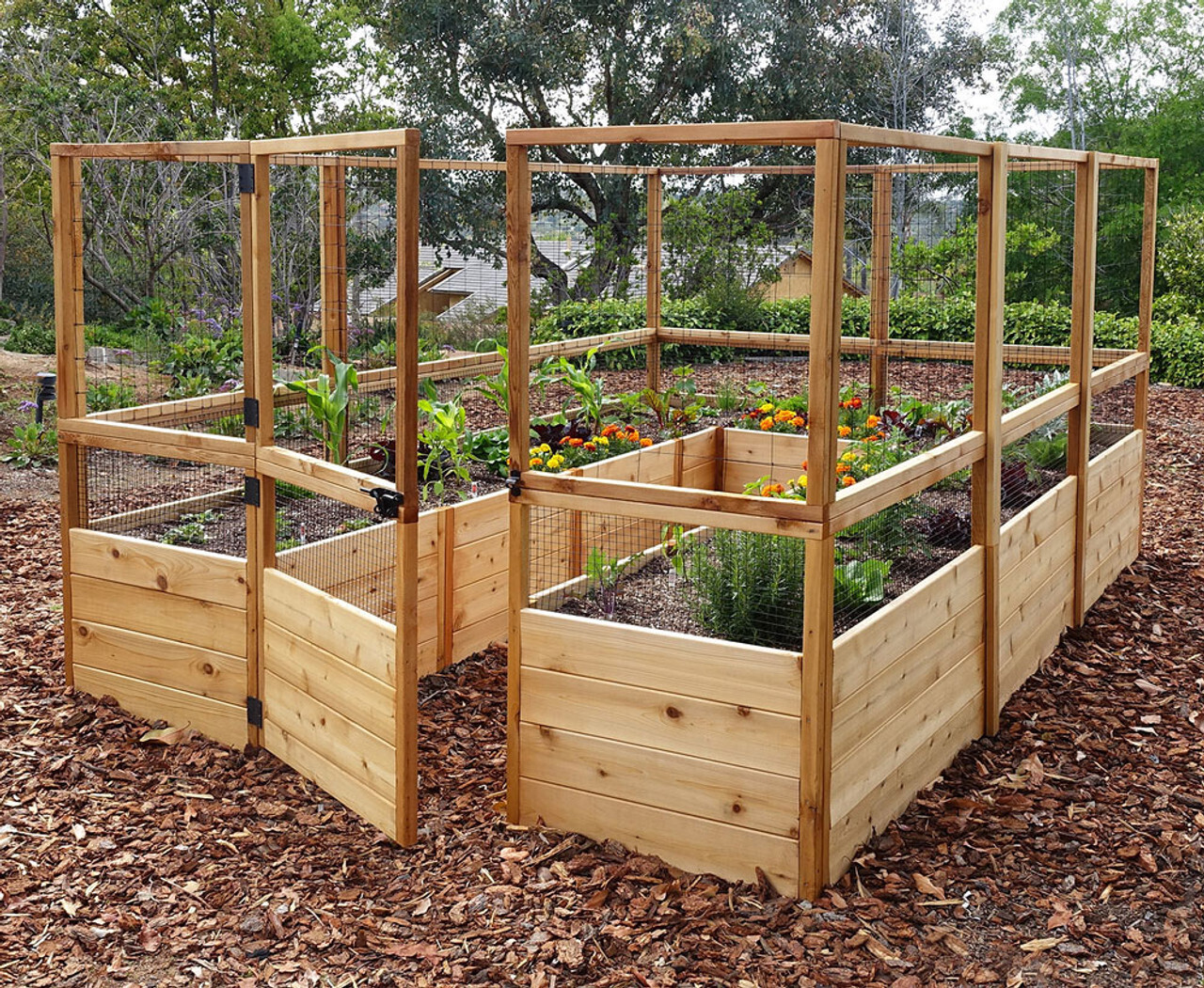 The ideal place to grow flowers and plants