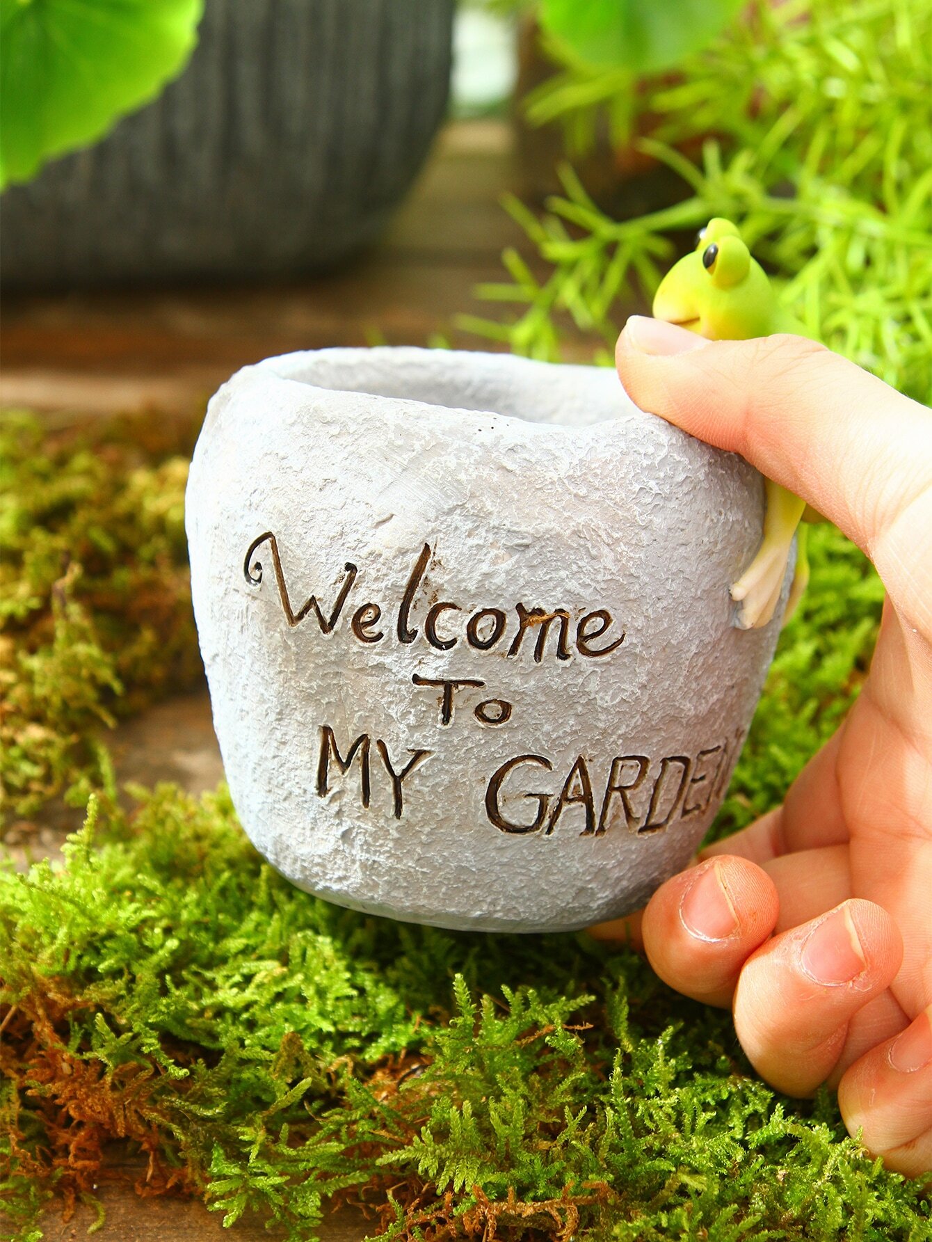 1pc ABS Garden Plant Pot, Creative Frog & Stone Design Flowerpot For Outdoor