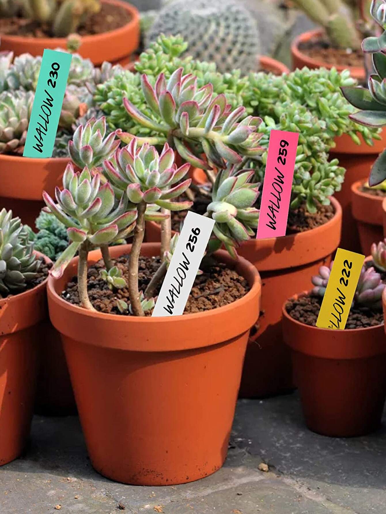 120pcs Mixed Color PVC Plant Marker, Simple Waterproof Plant Label For Garden, Outdoor