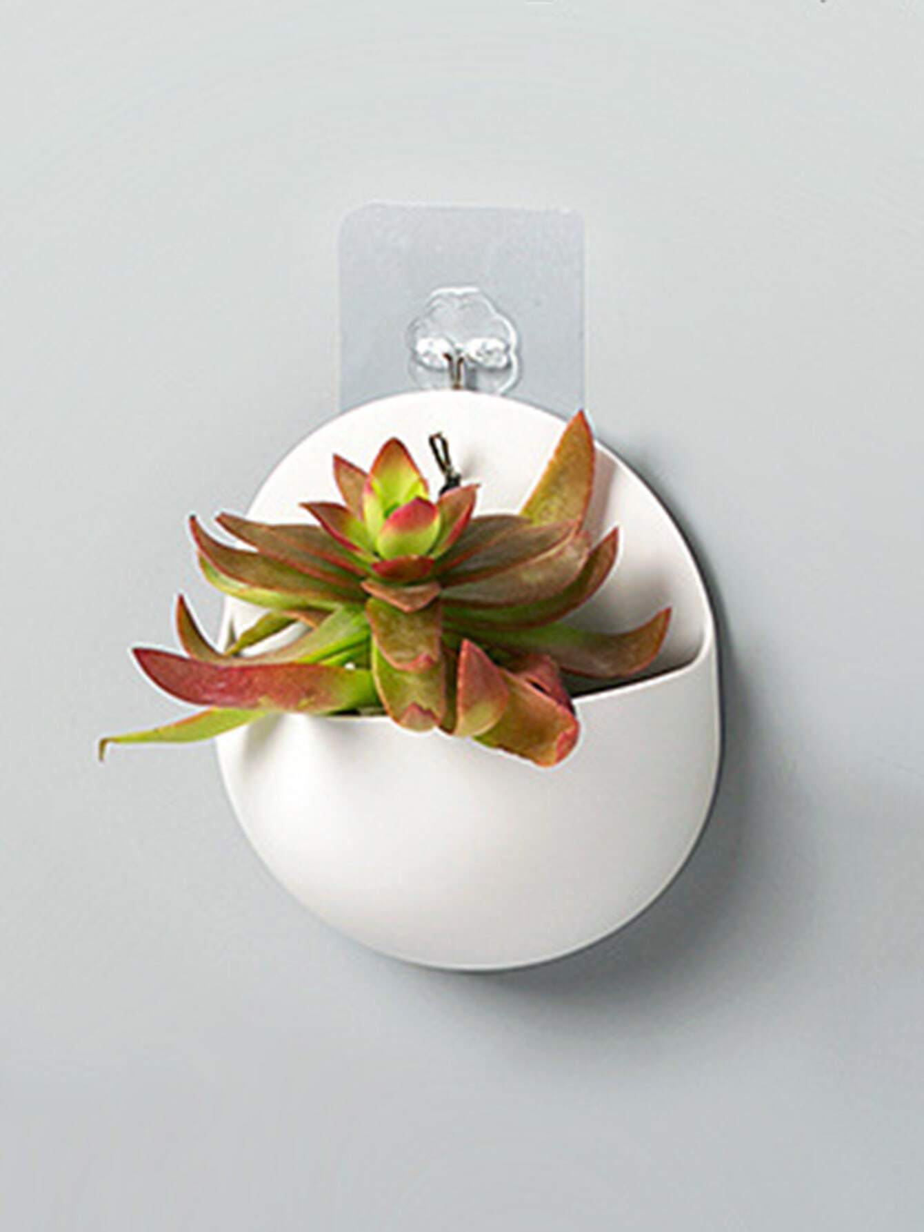1pc Wall Mounted Plant Container