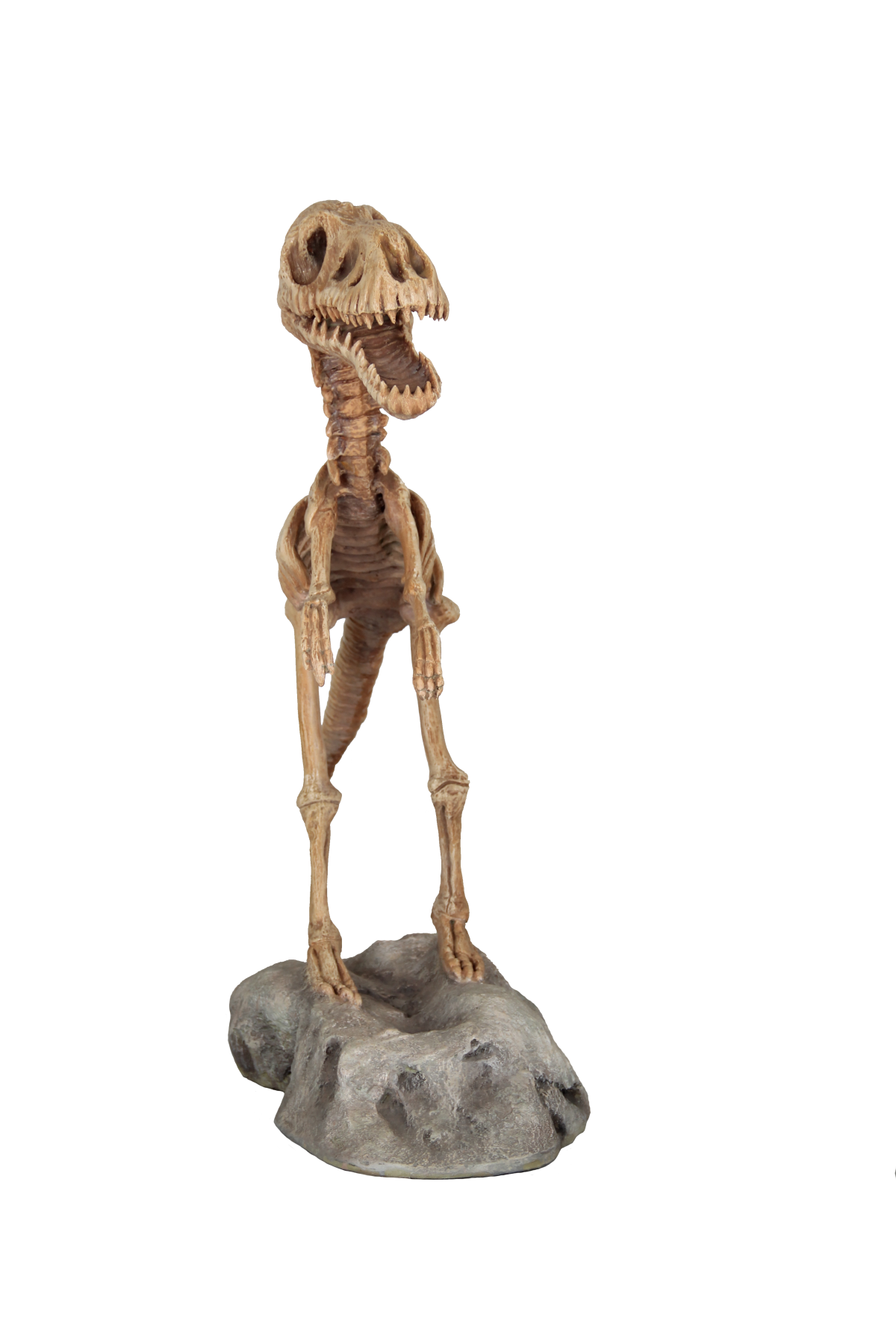 T-Rex skeleton on platform