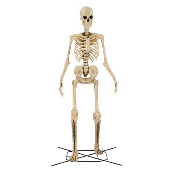 Giant-Sized Skeleton with LifeEyes LCD Eyes