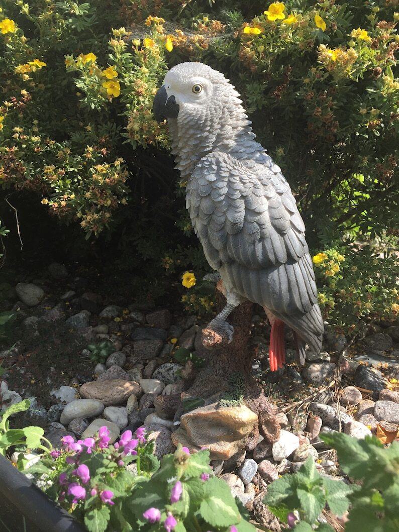 Grey Gabon Parrot Bird Figurine Garden Figurine 15 in.H Statue, African Parrot, Tropical Birds, Indoor Outdoor Figurine,Congo Grey Parrot