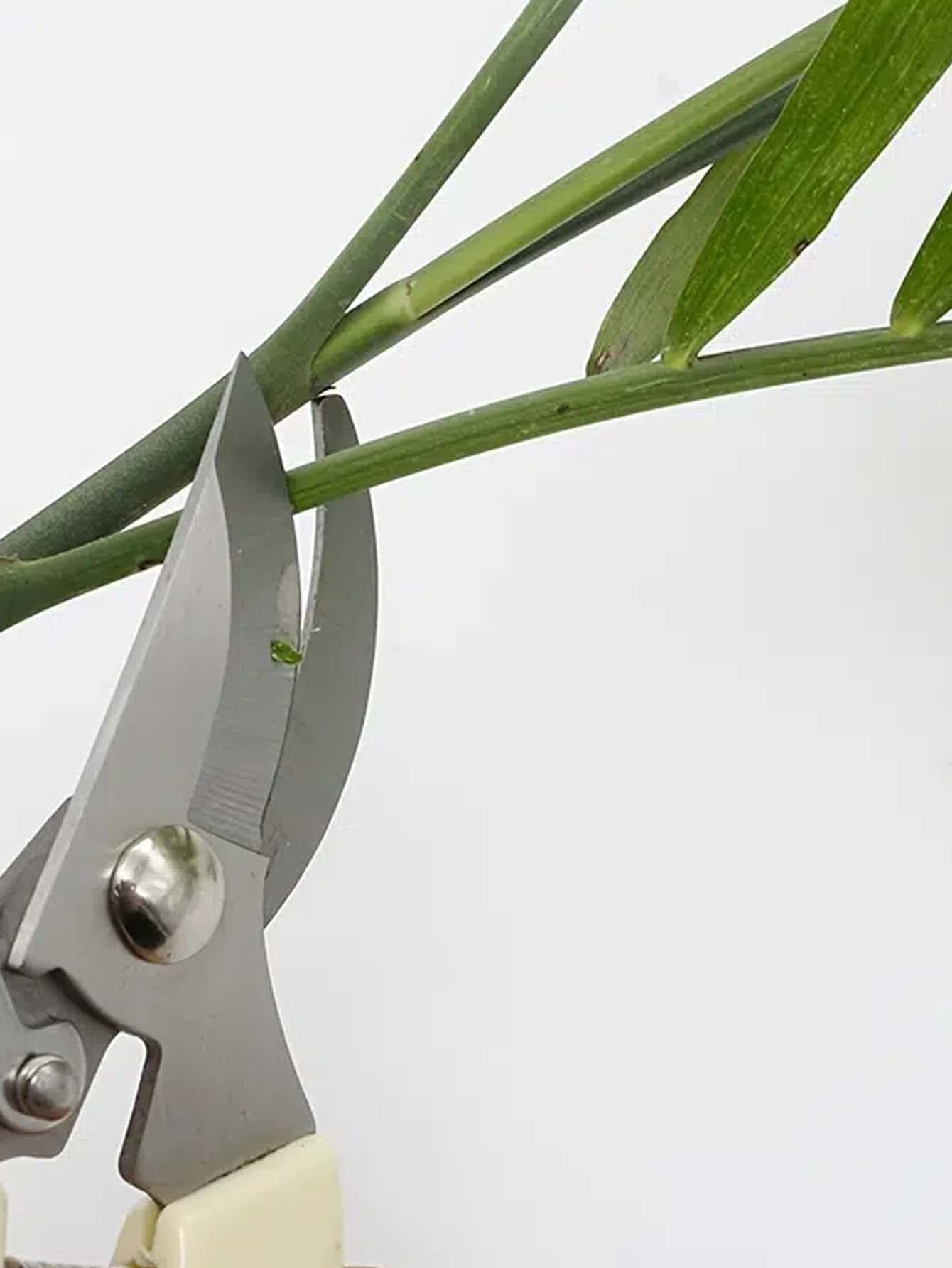 1pc Stainless Steel Gardening Scissors