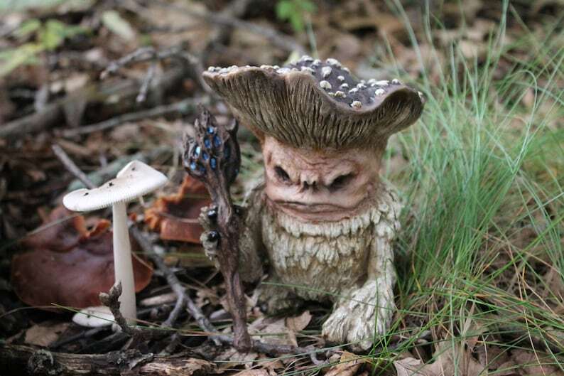 The REAL Fairy Mushroom Wizard