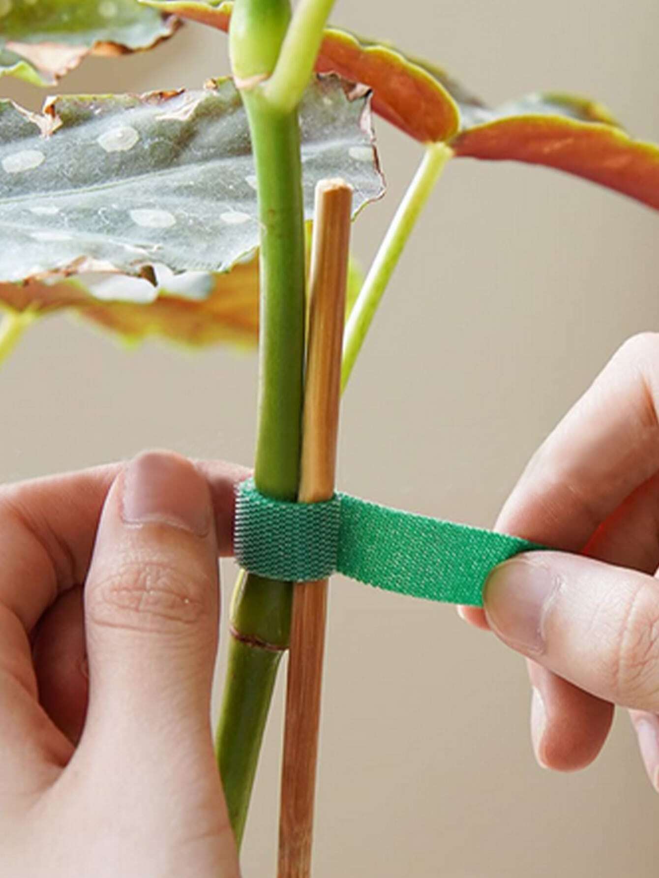 2pcs Plant Ties,Nylon Plant Bandage Tie,Home Garden Plant Shape Tape,Hook Loop,Bamboo Cane Wrap Support Accessories