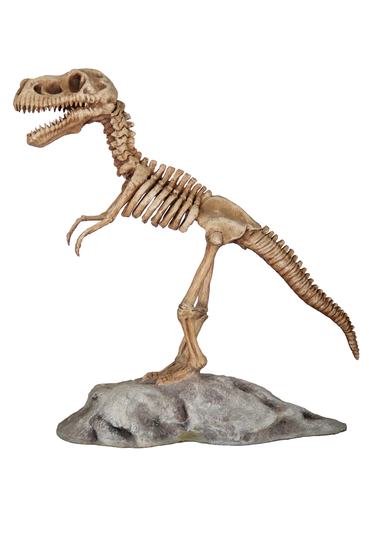 T-Rex skeleton on platform