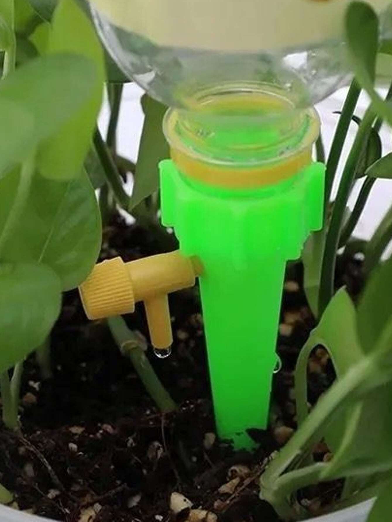 10pcs Random Color Self-watering Device