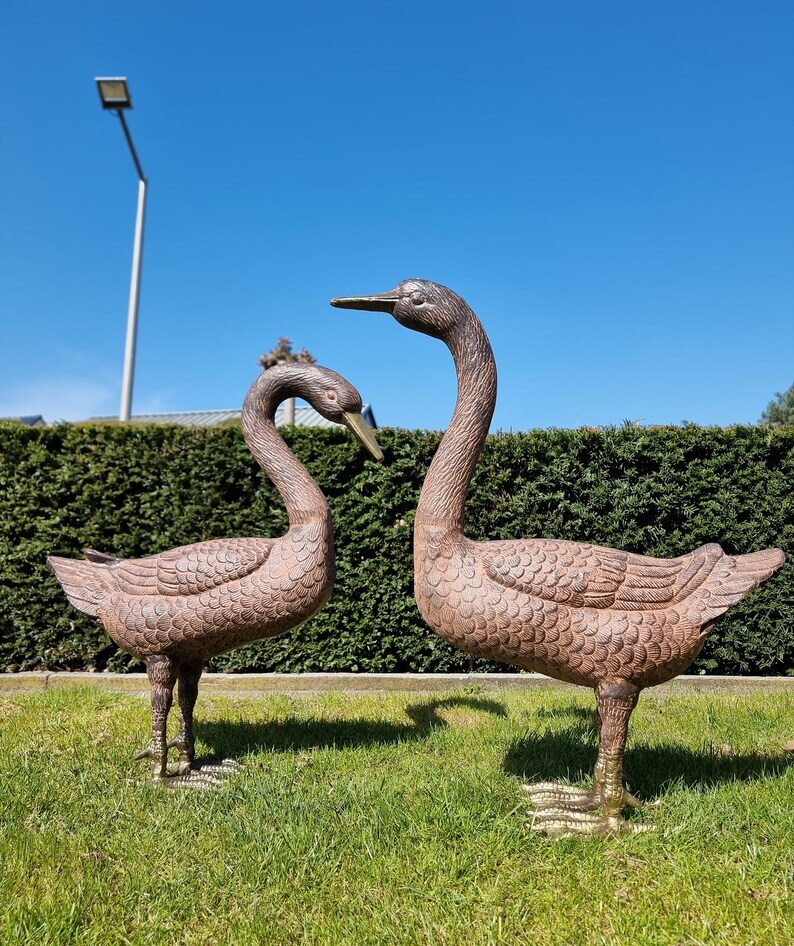 Couple of swans - Couple of geese - Lifelike wild birds - Waterfowl - animals in love - pond art