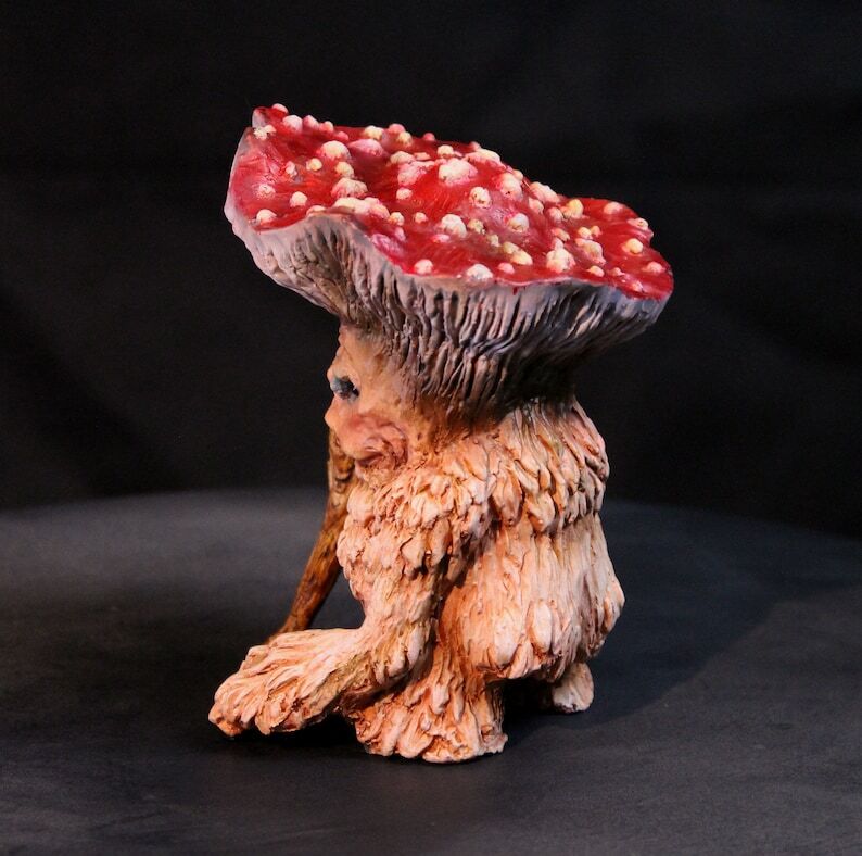 The REAL Fairy Mushroom Wizard