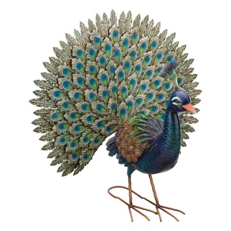 Peacock - Pride