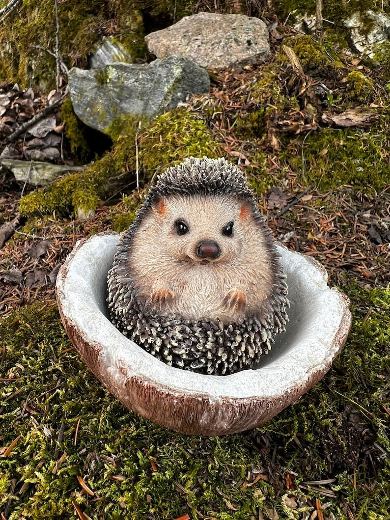 Hedgehog Resting Inside Coconut Shell Figurine  Statue, 4.5 inches Hedgehog Ornament, Hedgehog Figurine / Realistic