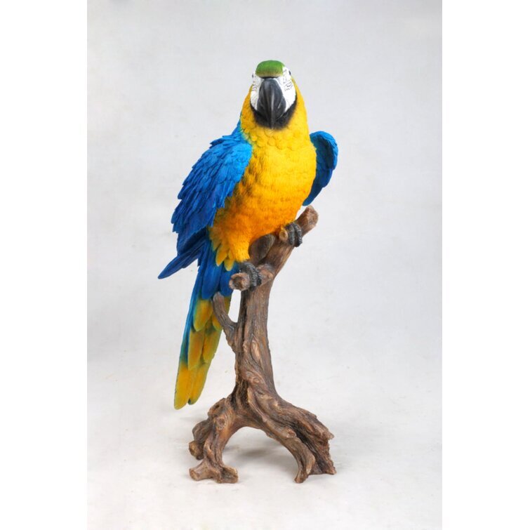 Macaw Statue